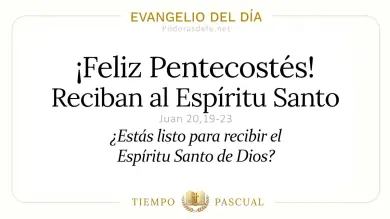 Evangelio de hoy Domingo 24 de Mayo 2026: Juan 20,19-23